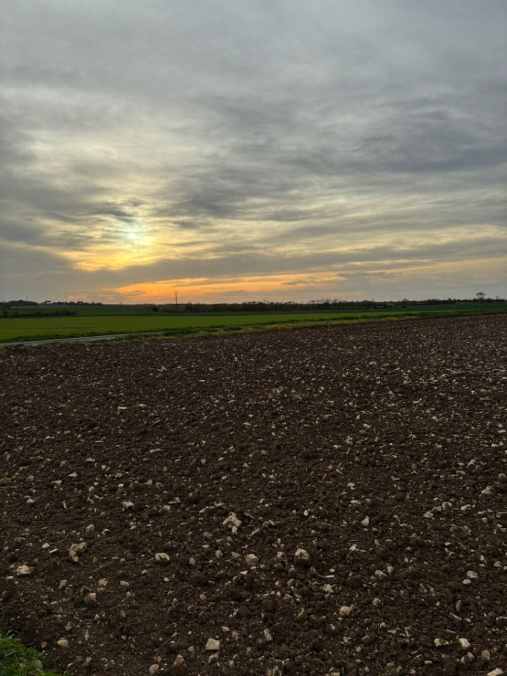 vente Terrain - 281 m² Angliers (17540)