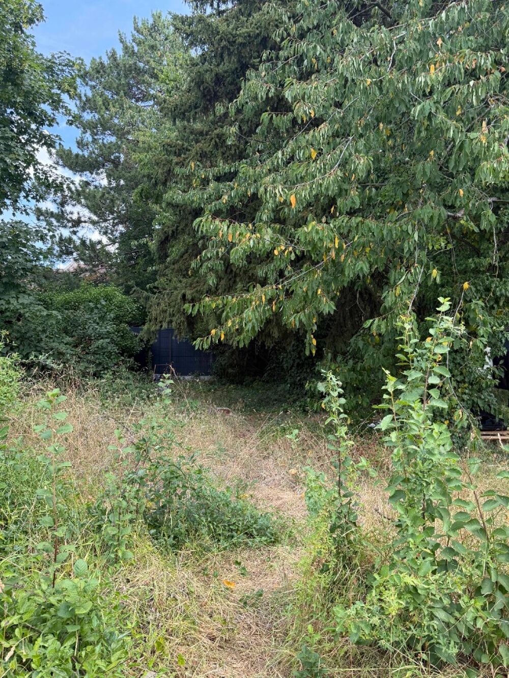 vente Terrain - 410 m² Saint-Vrain (91770)