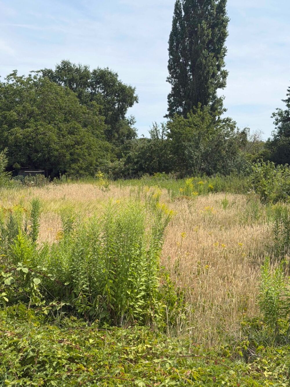 vente Terrain - 1304 m² Milly-la-Forêt (91490)