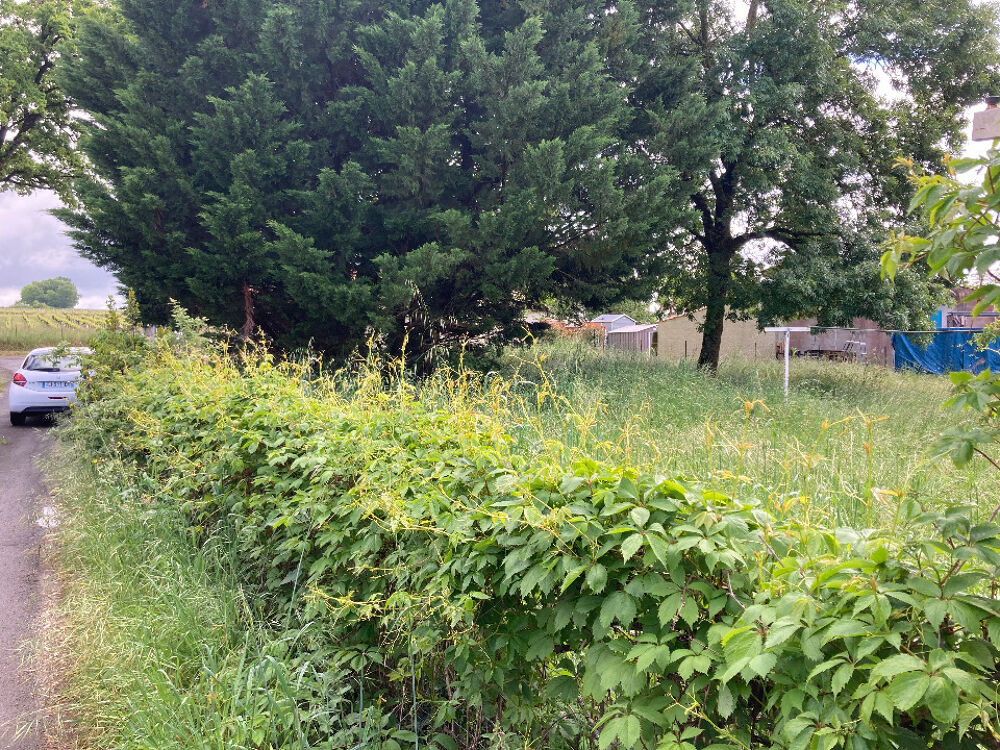vente Terrain - 373 m² Chaniers (17610)