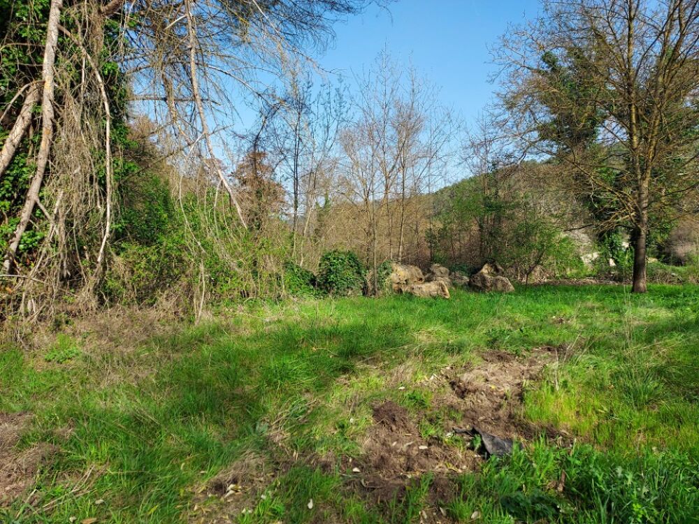 vente Terrain - 1567 m² Belgentier (83210)