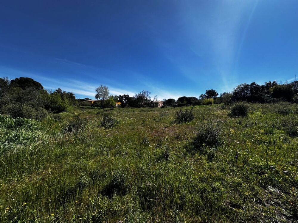 vente Terrain - 665 m² Roquebrune-sur-Argens (83520)