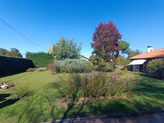  Terrain � vendre 300 m�