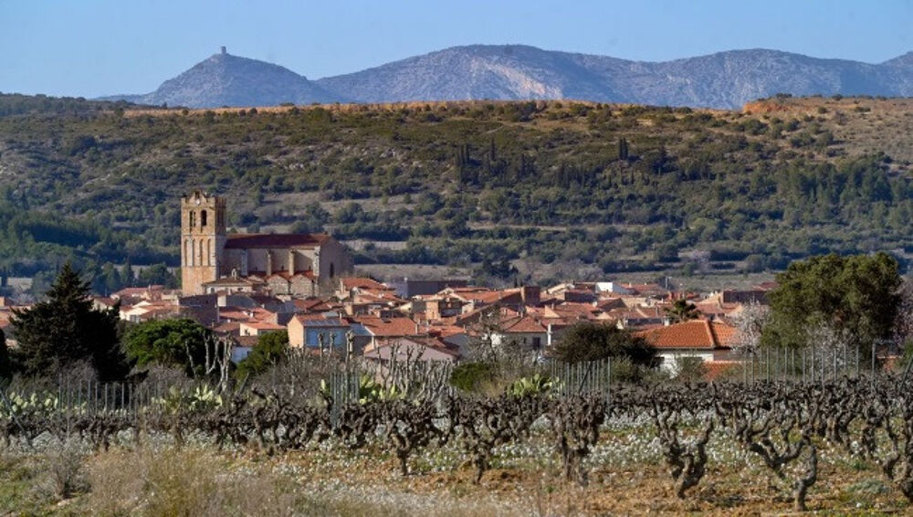 vente Maison - 4 pièce(s) - 100 m² Baixas (66390)