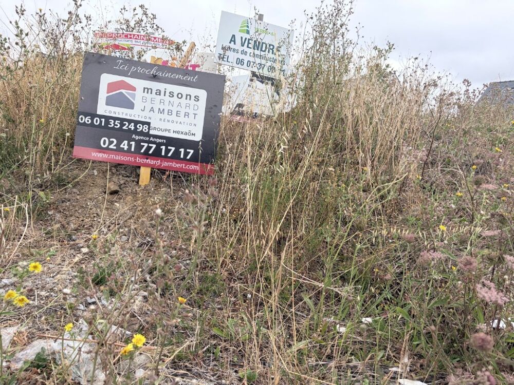 vente Maison - 7 pièce(s) - 132 m² Le Longeron (49710)