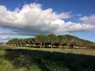  Terrain � vendre 260 m�