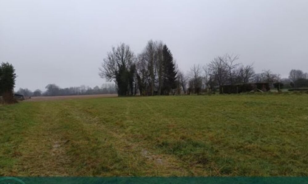 vente Terrain - 502 m² Moyaux (14590)