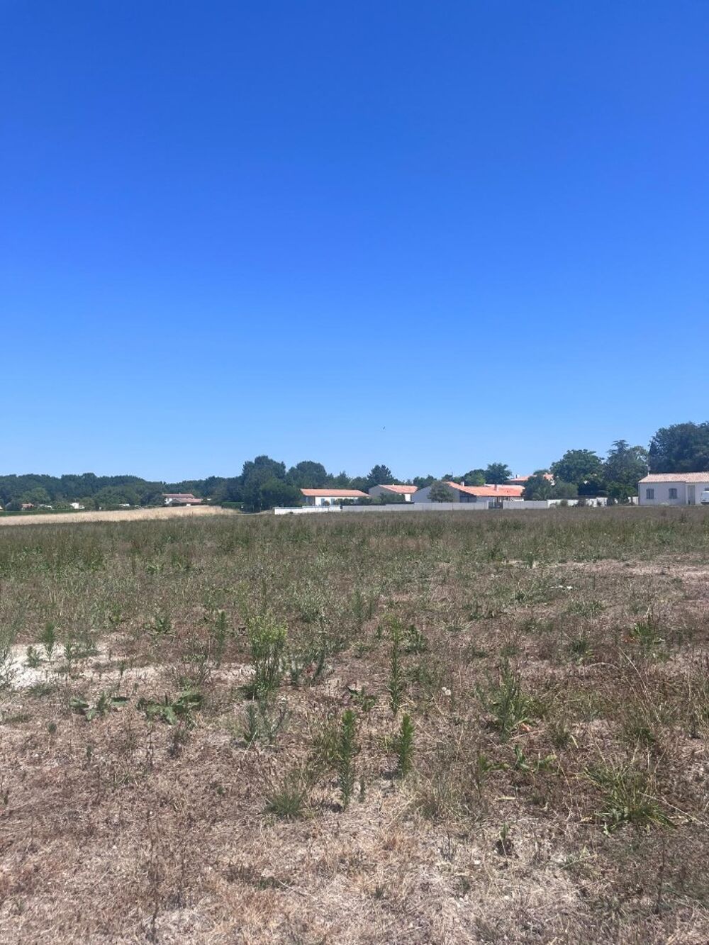 vente Terrain - 445 m² Étaules (17750)
