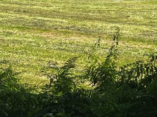  Terrain 1400 m� G�mozac