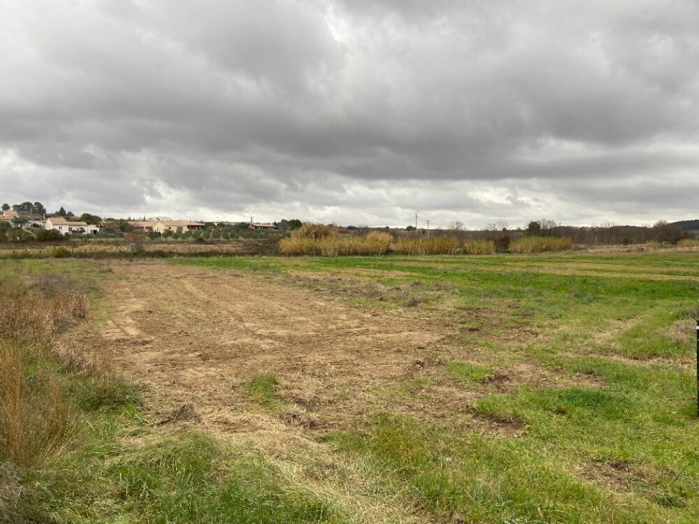 vente Terrain - 411 m² Puisserguier (34620)