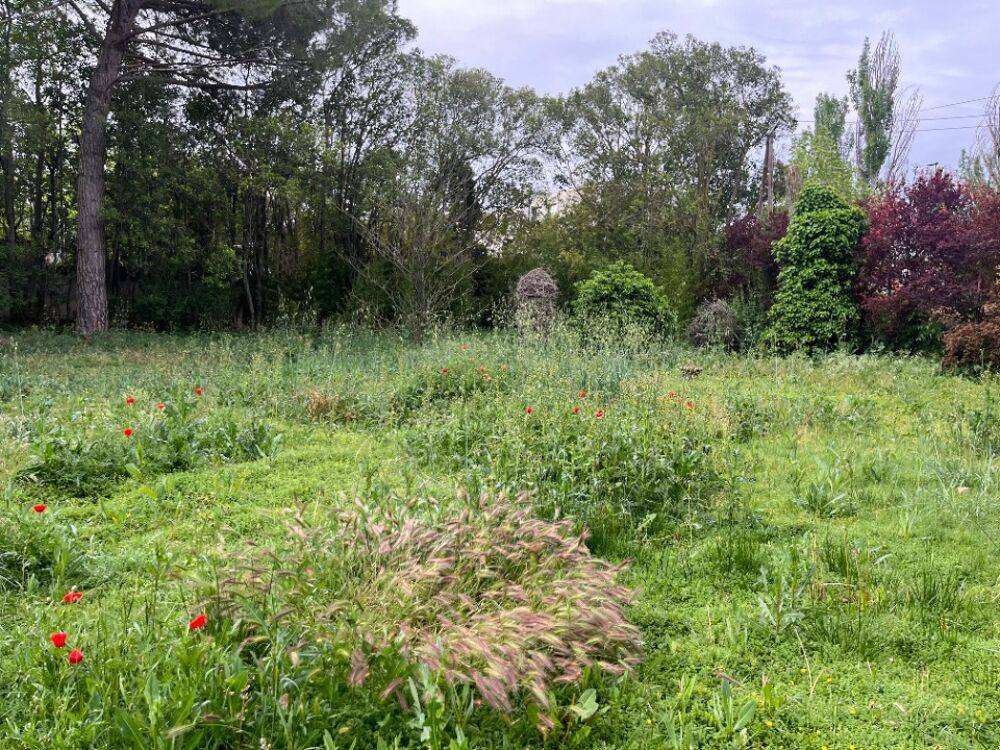 vente Terrain - 650 m² Meyreuil (13590)