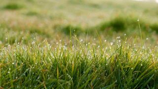  Maison à vendre 3 pièces 90 m²