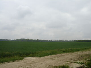  Terrain  vendre 320 m