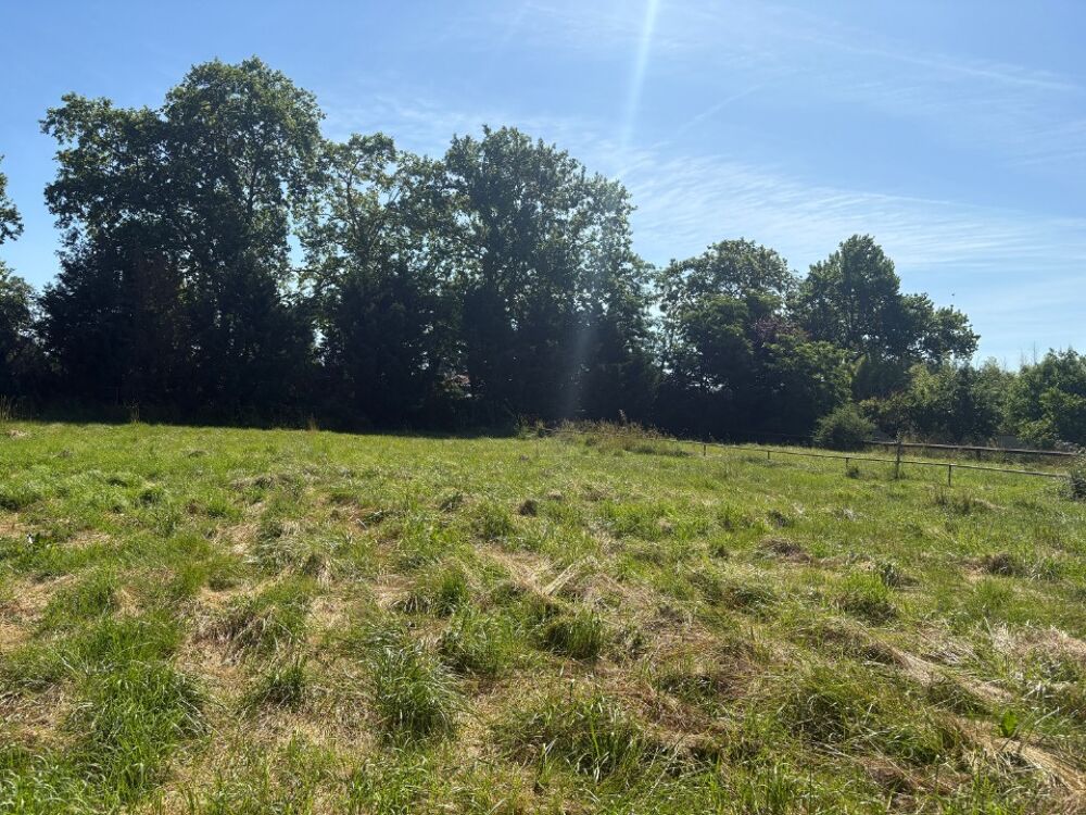 vente Terrain - 705 m² Saint-Sauveur (31790)