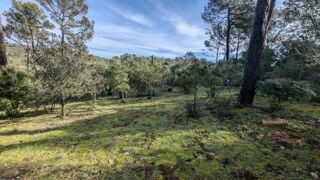  Terrain � vendre 1000 m�