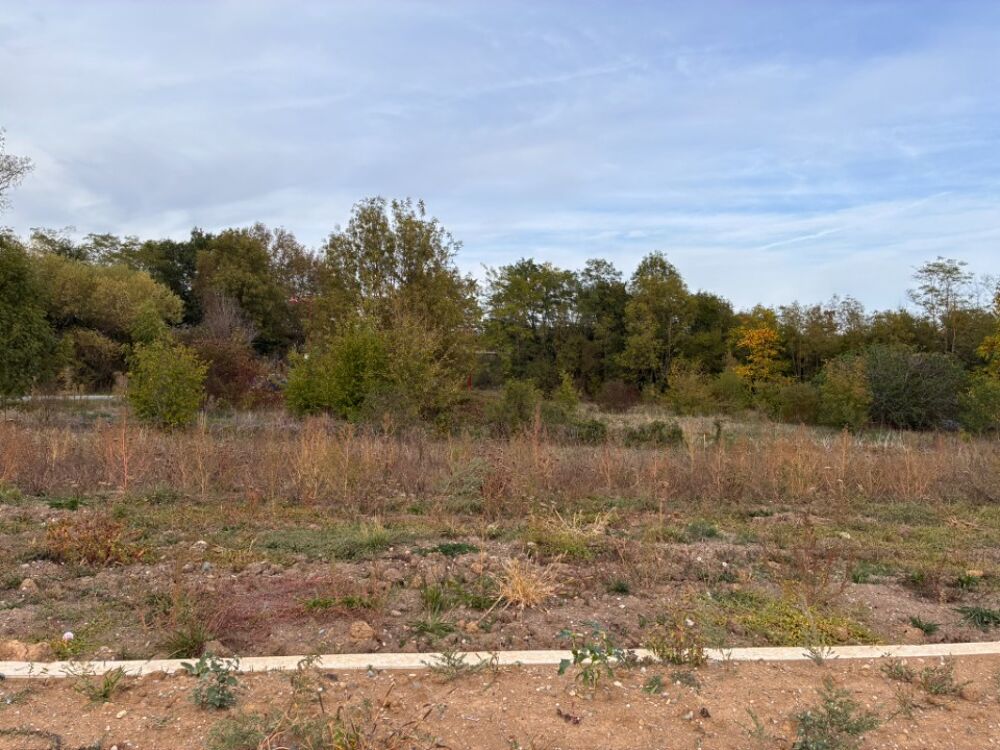 vente Maison - 3 pièce(s) - 69 m² Herrlisheim-près-Colmar (68420)