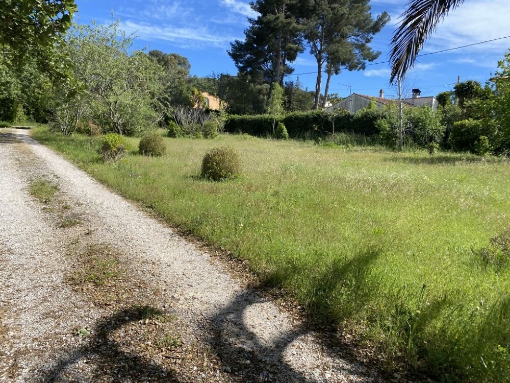 vente Terrain - 350 m² Pignans (83790)
