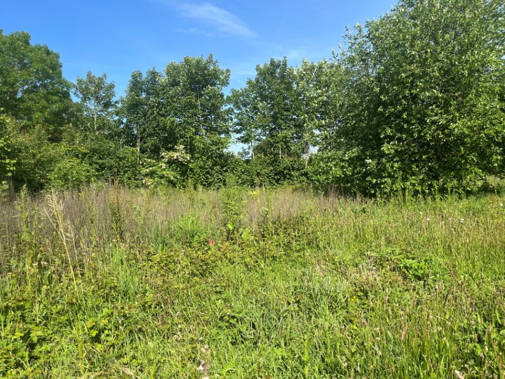 vente Maison - 6 pièce(s) - 125 m² Lamotte-Buleux (80150)