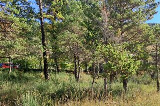  Terrain 611 m� Levens