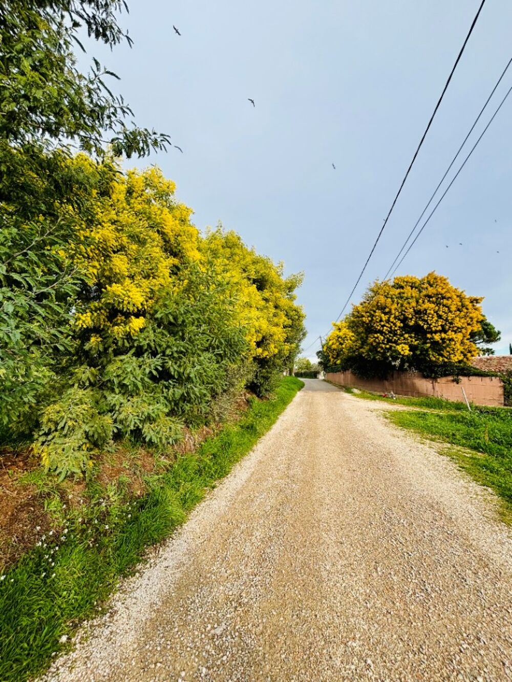 vente Terrain - 392 m² Bormes-les-Mimosas (83230)