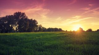  Terrain � vendre 500 m�