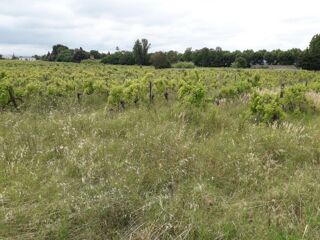  Terrain 637 m� Bizanet