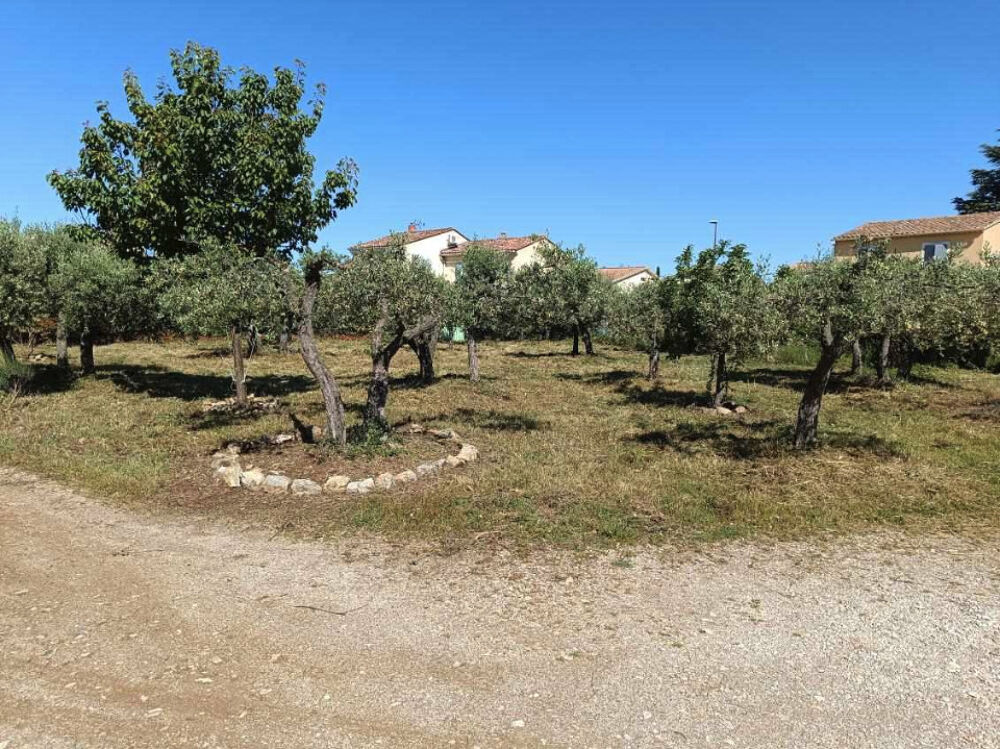 vente Maison - 6 pièce(s) - 120 m² Aubignan (84810)