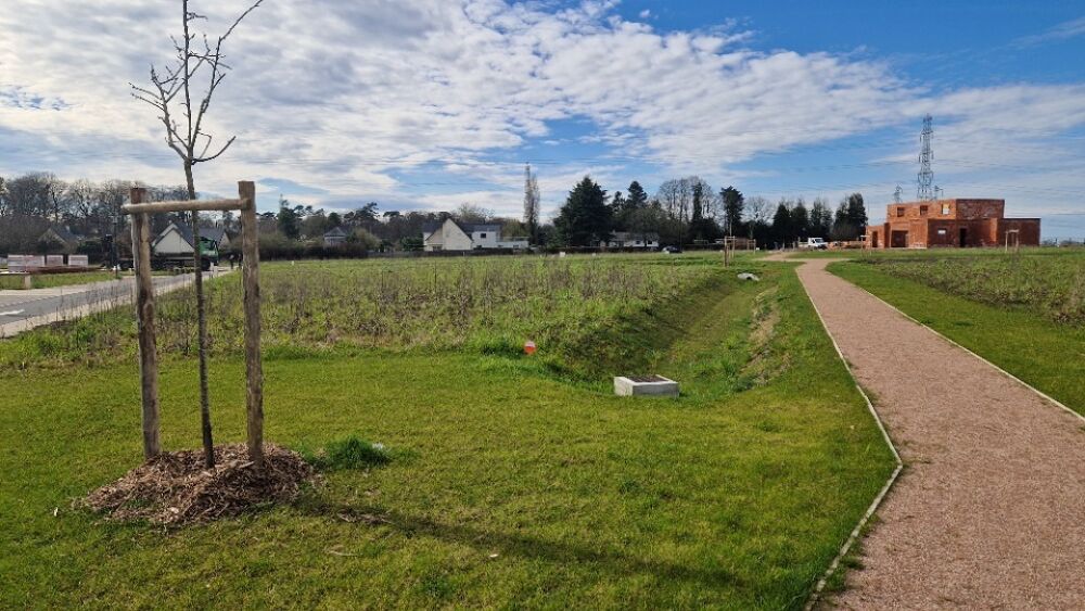vente Terrain - 768 m² Montigny (76380)