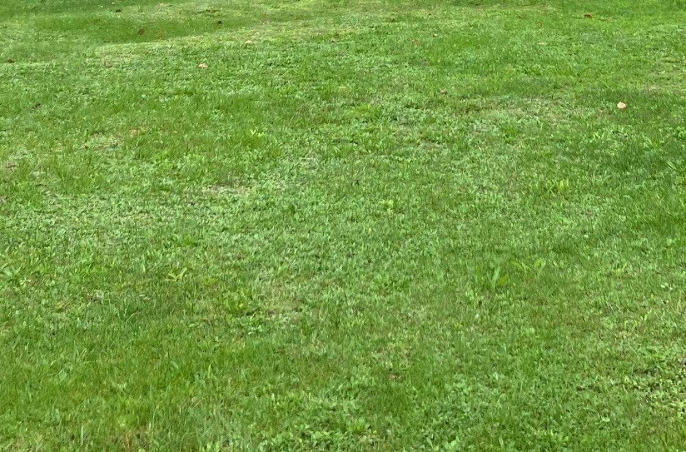 vente Terrain - 920 m� Saintes (17100)