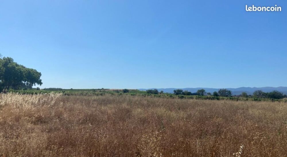 vente Terrain - 400 m� Olonzac (34210)