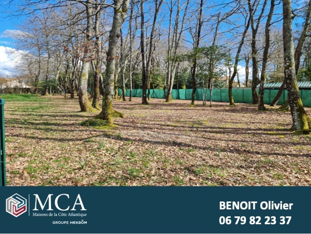 vente Terrain - 1135 m² Breuillet (17920)