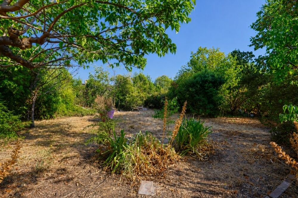 vente Terrain - 183 m² Solliès-Pont (83210)