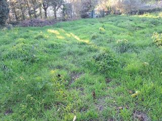  Maison 6 pi�ces 140 m� �guilles