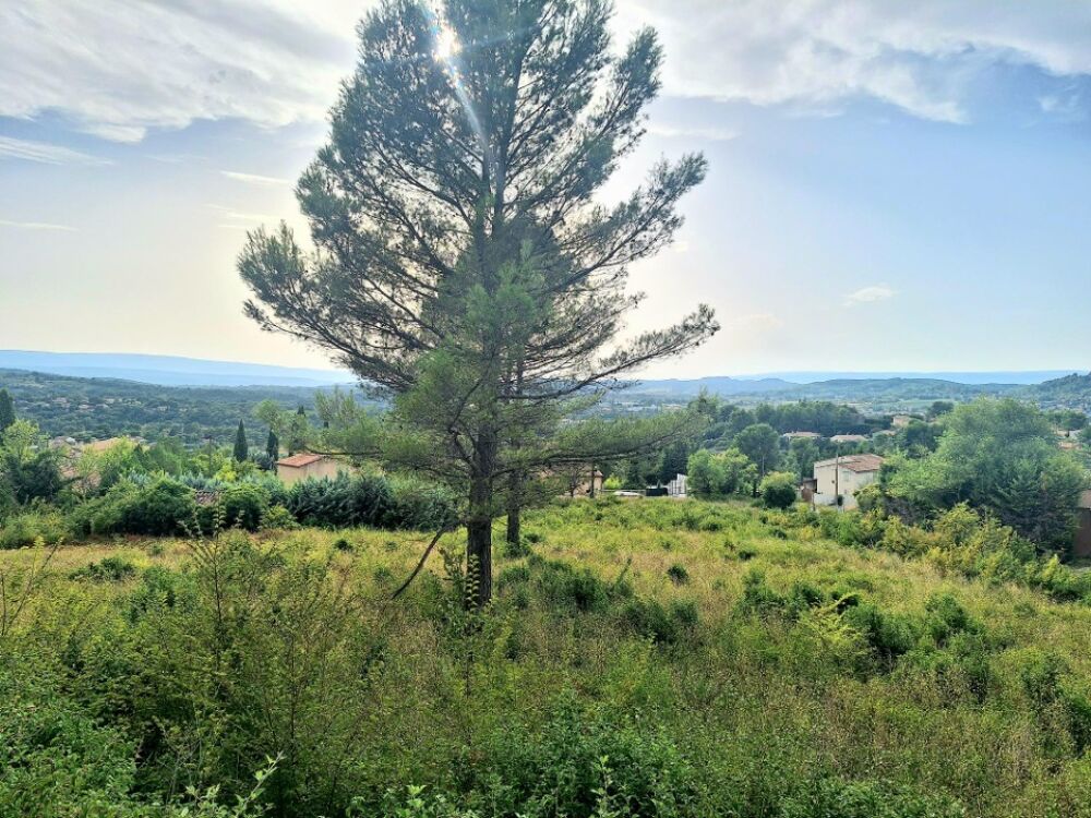 vente Terrain - 1030 m² Apt (84400)