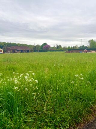  Maison 4 pi�ces 125 m� Tr�molat