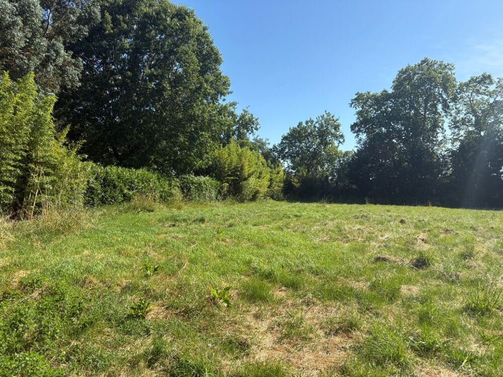 vente Maison - 5 pièce(s) - 84 m² Saint-Sauveur (31790)