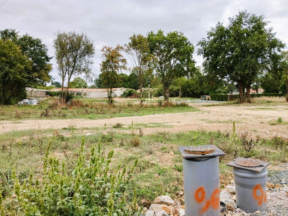 vente Maison - 3 pièce(s) - 61 m² Saint-Mars-la-Réorthe (85590)