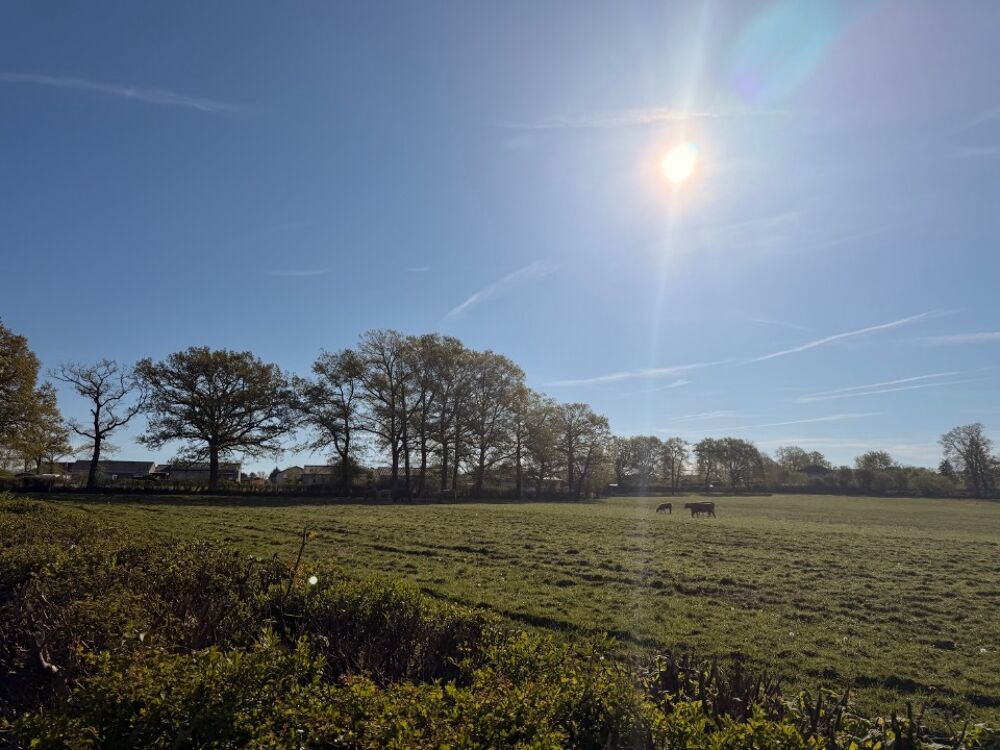 vente Terrain - 1016 m² Ytrac (15130)