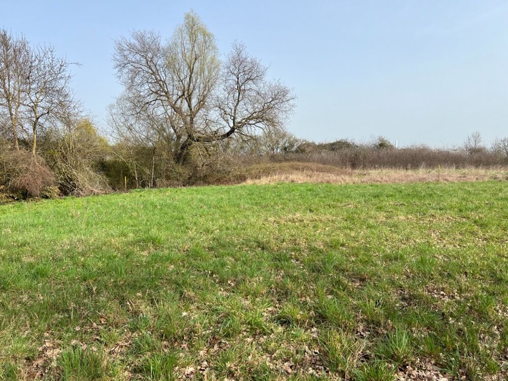 vente Maison - 5 pièce(s) - 140 m² Grièges (01290)