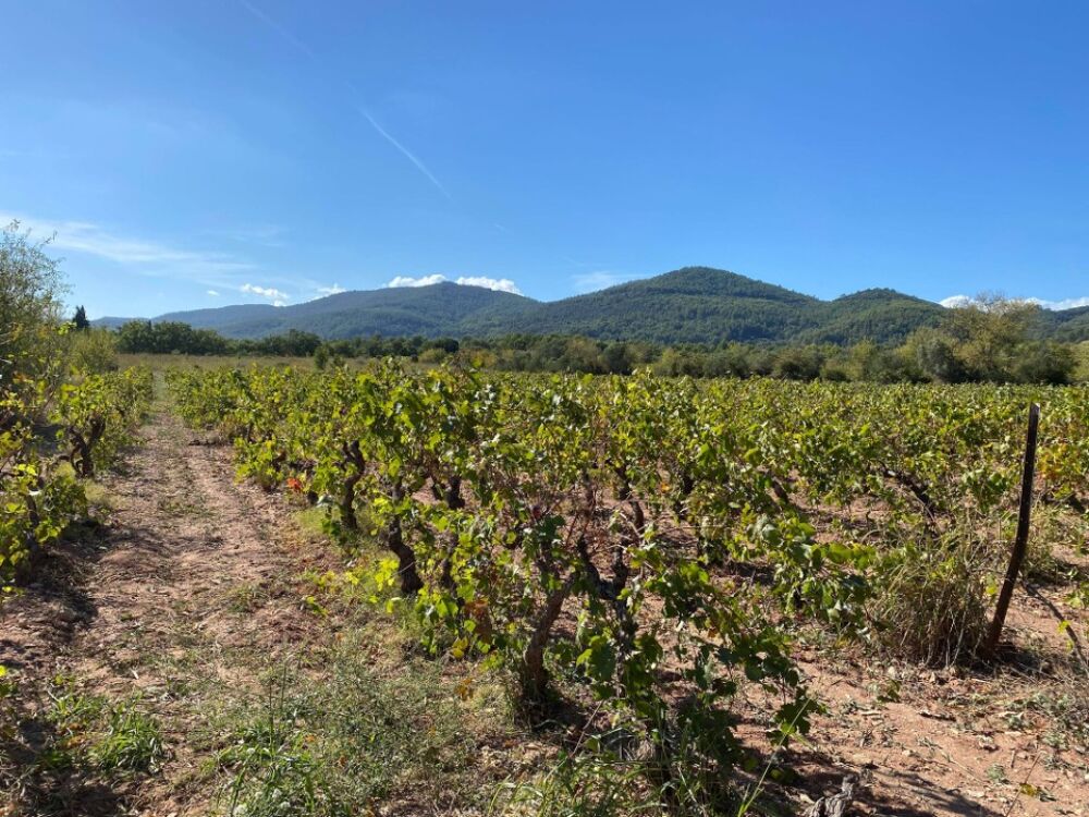 Terrain plat 700 m² - Belle opportunité au Castellet<BR/....