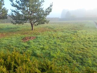  Terrain 1700 m� Couzeix