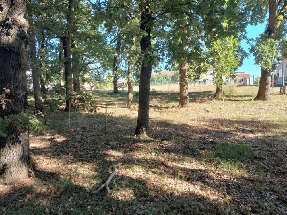 vente Maison - 6 pièce(s) - 186 m² Pechbonnieu (31140)