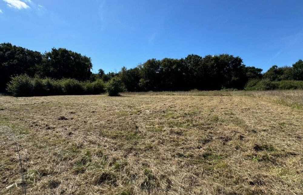 vente Terrain - 646 m² Meursac (17120)
