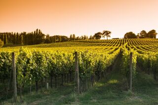  Terrain � vendre 800 m�