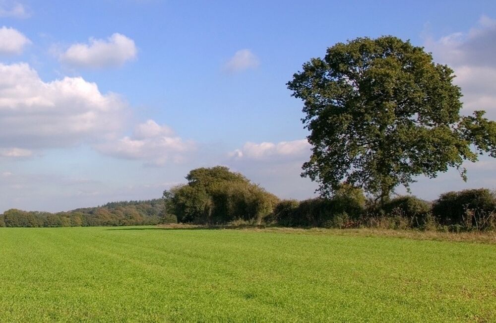 L'agence Maisons France Confort de Coignières propose ce....