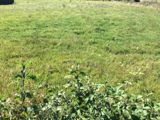vente Terrain - 940 m² Polliat (01310)