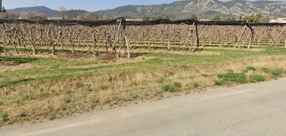 vente Terrain - 332 m² Volx (04130)