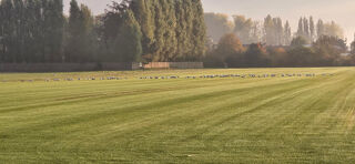  Maison 6 pices 125 m Templeuve