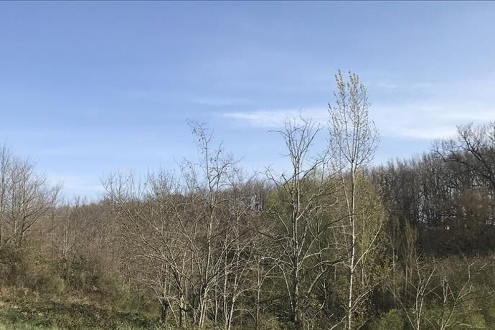 vente Terrain - 896 m² Grazac (31190)