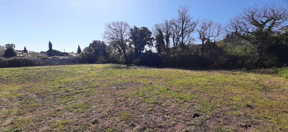 vente Terrain - 1055 m² Puget-sur-Argens (83480)